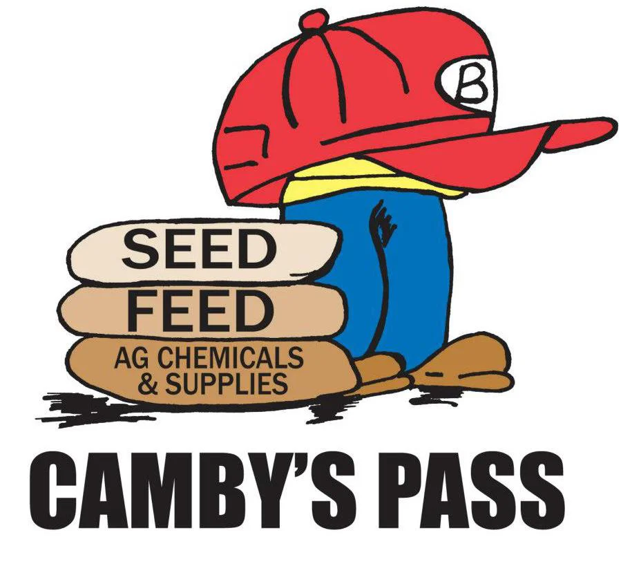 Camby's Pass logo